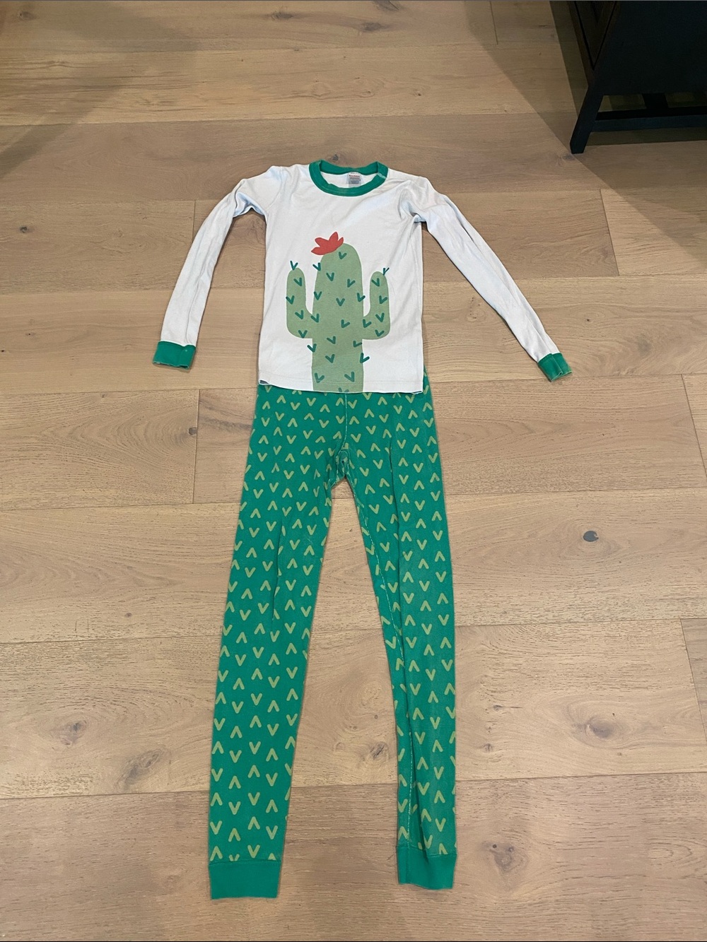 Hanna Andersson Green Cactus Two-Piece Pajama Set